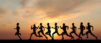Get Ready for the Sutherland 2 Surf Now!